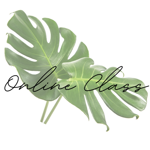 Essentials Body Sugaring Certification Program