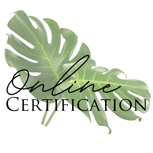 Essentials Body Sugaring Certification Program